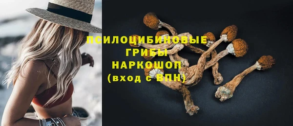 МДПВ Магадан