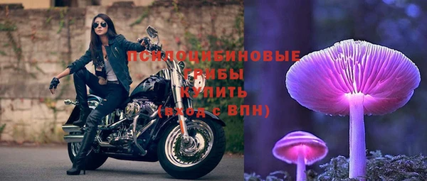 МДПВ Магадан