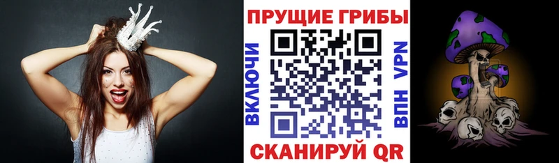 кракен онион  Чаплыгин  Псилоцибиновые грибы прущие грибы  хочу  